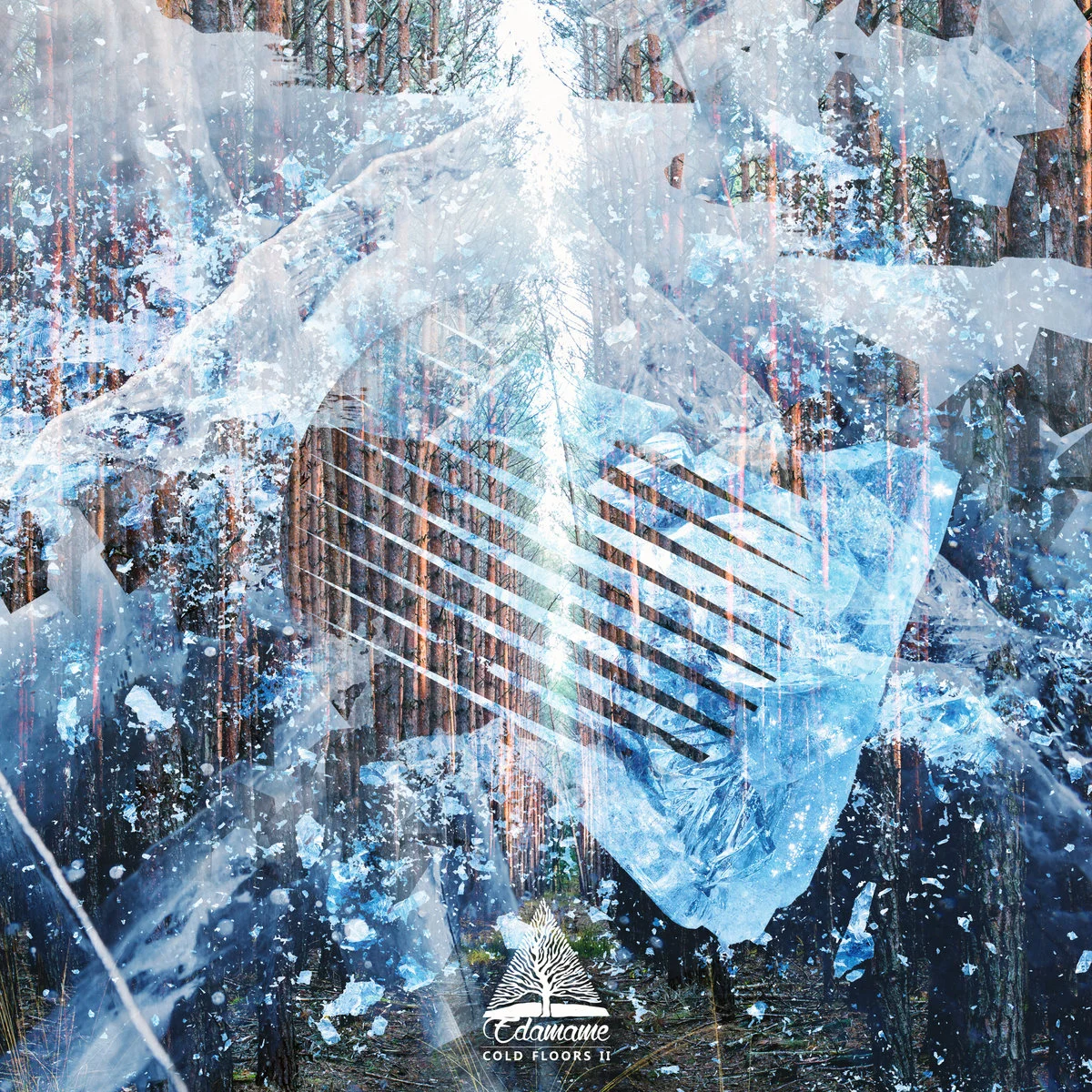 Cold Floors EP II (2016)