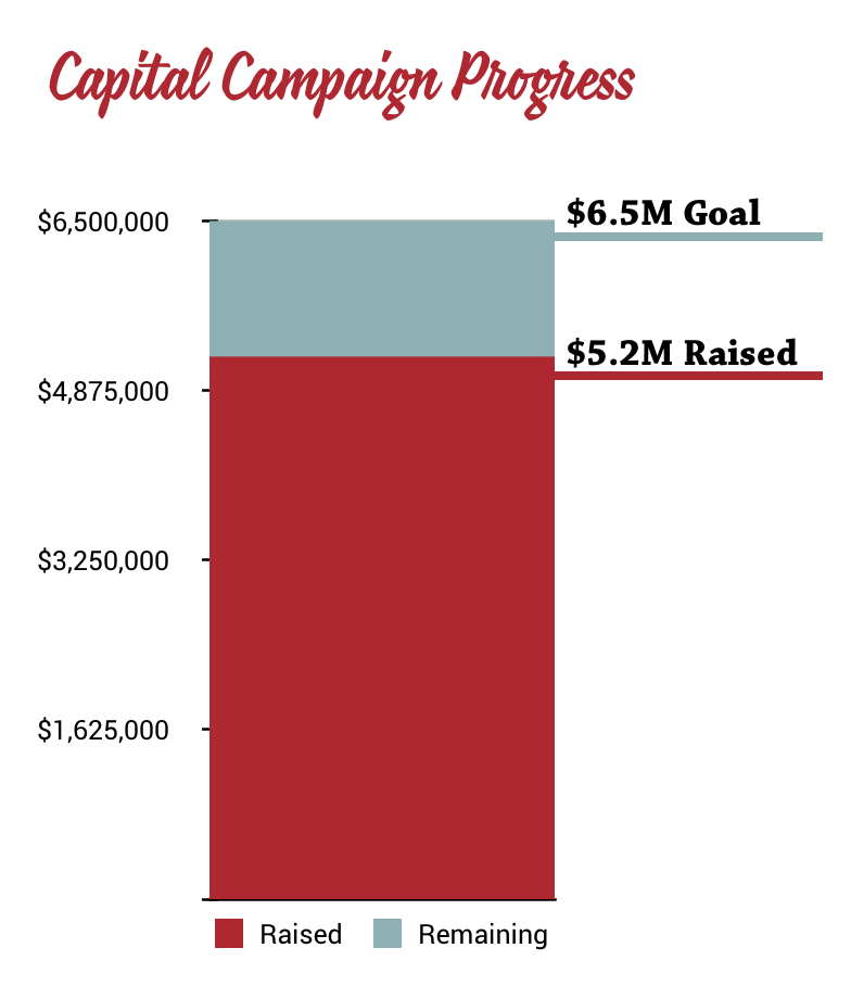 LWGMS Future Ready Campaign Progress (2017/2018 Annual Report)