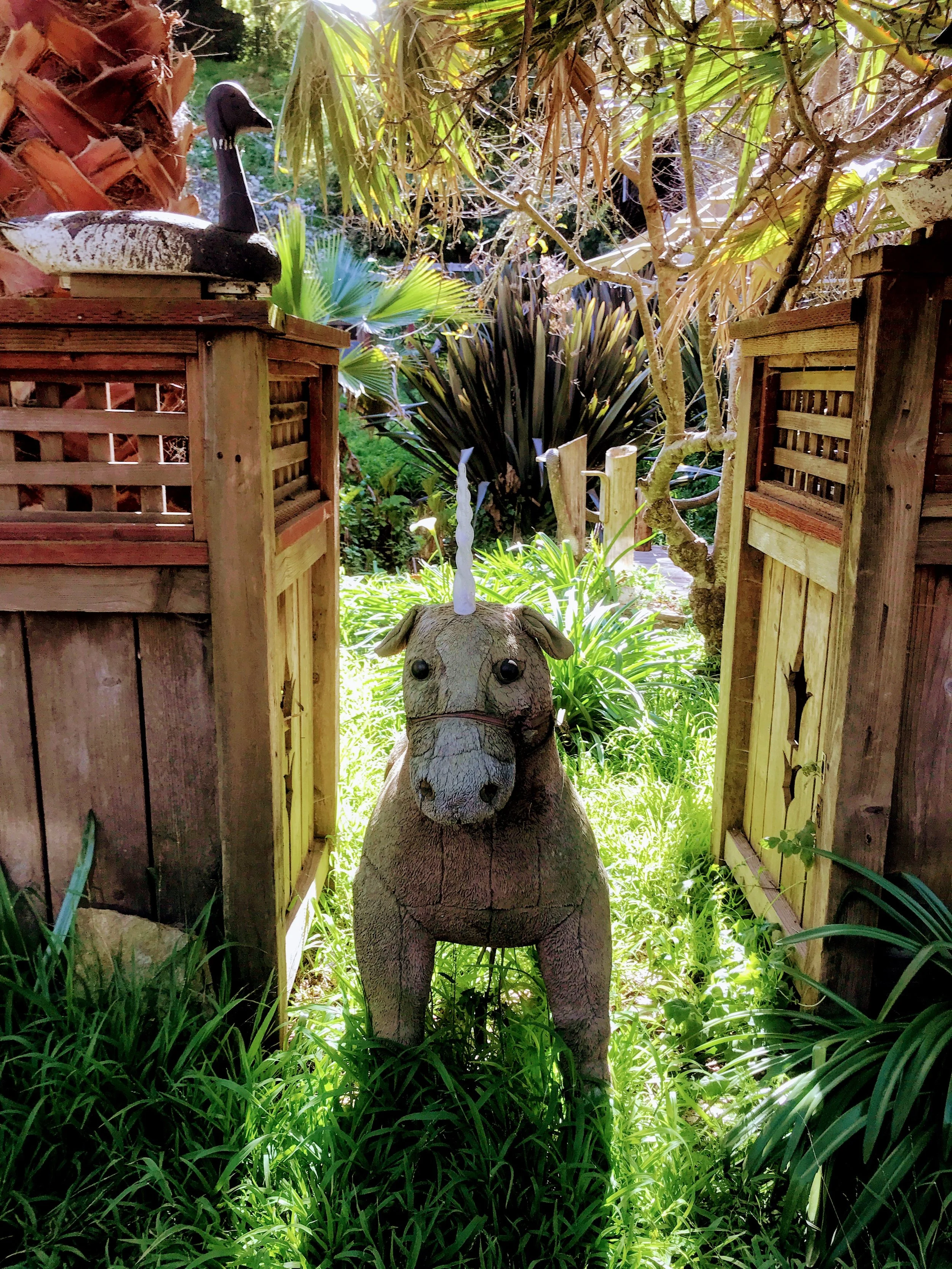 Unexpected Unicorn: Chronic Illness Blog