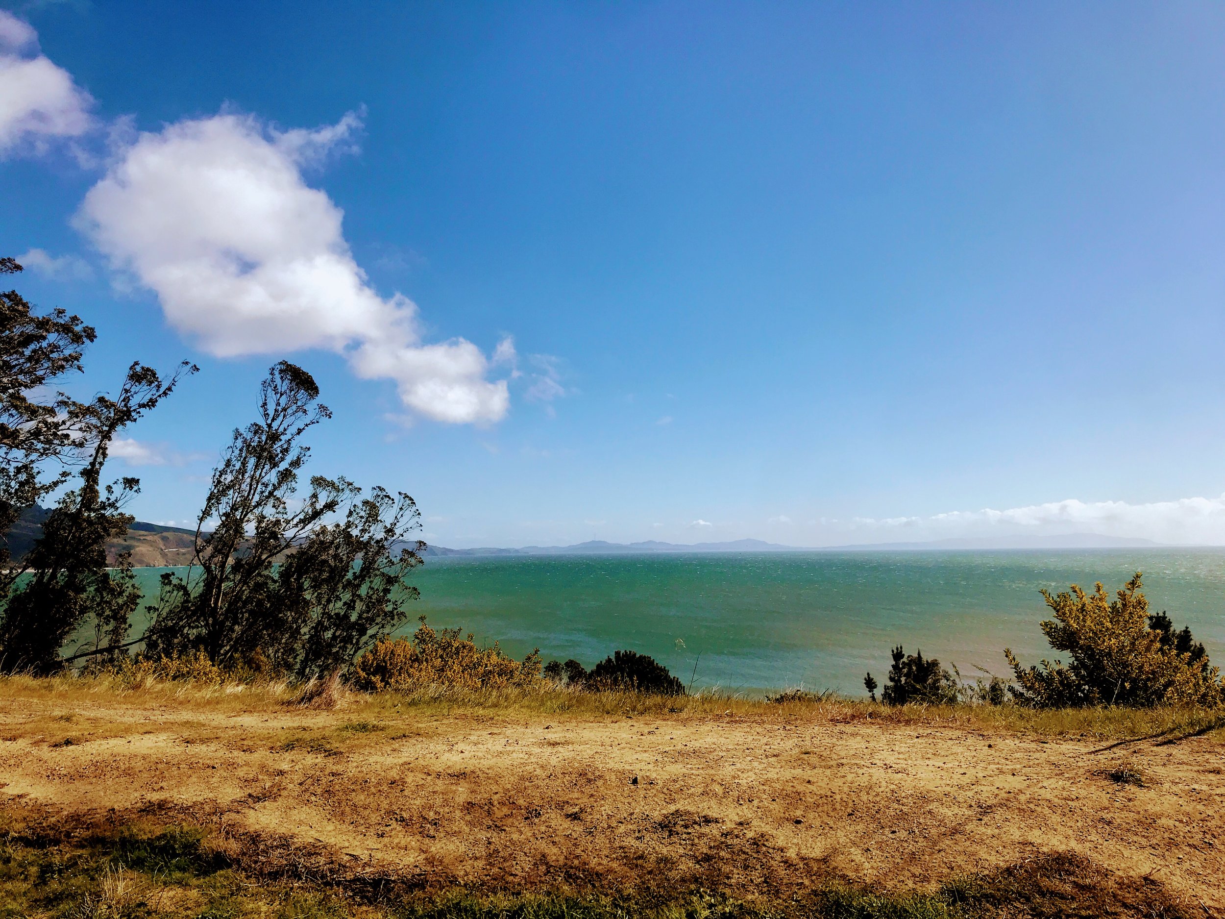 Las Bolinas: Chronic Illness Blog