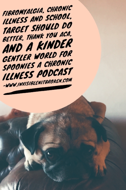 Fibromyalgia, Chronic Illness and School, Target Should Do Better, Thank you ACA, and a Kinder Gentler World for Spoonies
