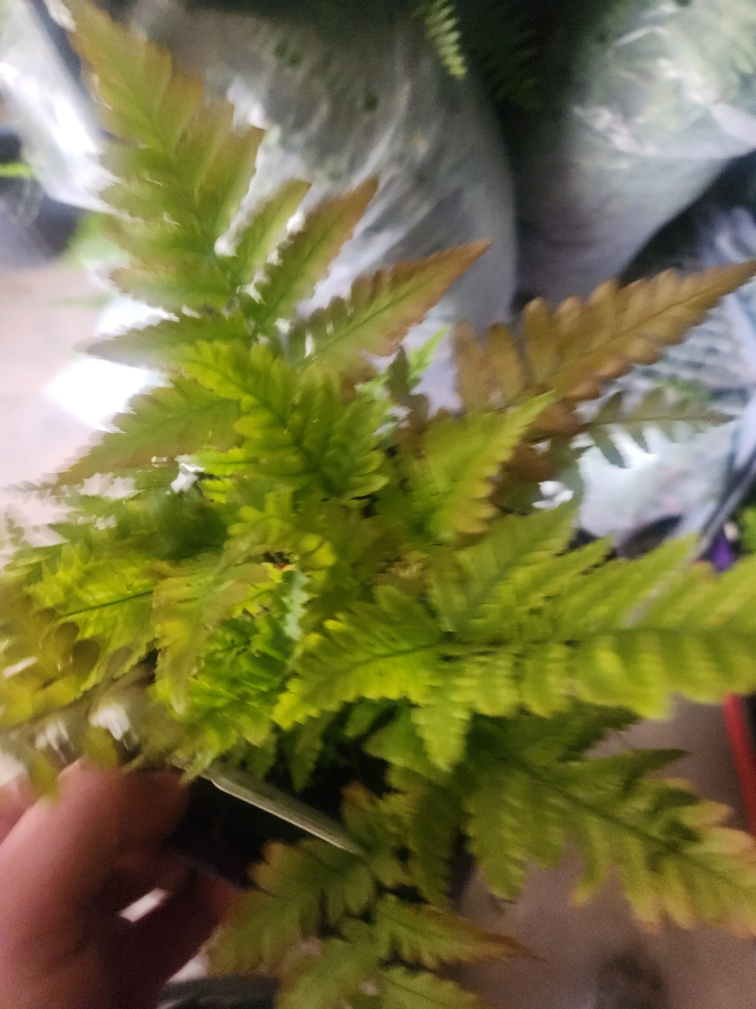 20260429_170128.jpg
