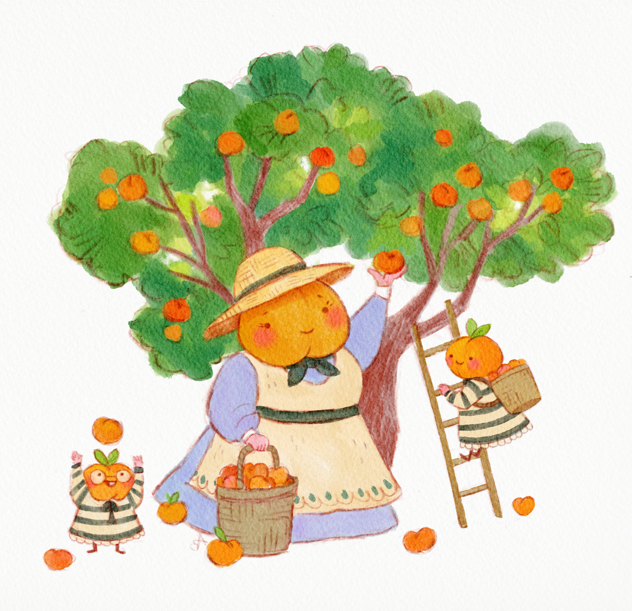 IMG_6965.png