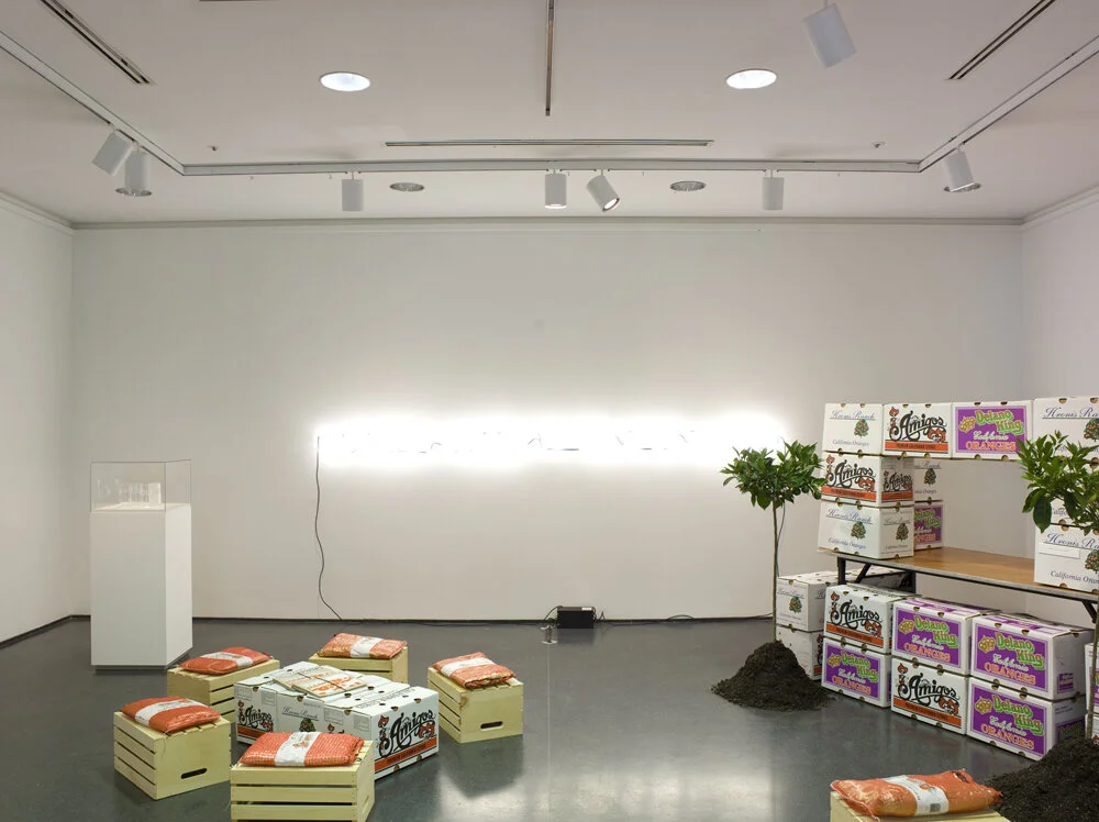  Detail from Self Contained  Museum of Contemporary Art, Chicago  2010  A series of tastes which included salty, bitter, numbing and sweet were produced in collaborations with chefs who ran illegal supper clubs in the Chicago area. At times it was a free restaurant, a lecture hall and gathering space for food activists, a group talk led by local farmers, an ice cream stand, film screening location, and a sculptural installation. The seating for these events was made from citrus farm detritus that I had imported along with myself, from California, A series of hand screened artist books were also available to read within a library within the installation.  