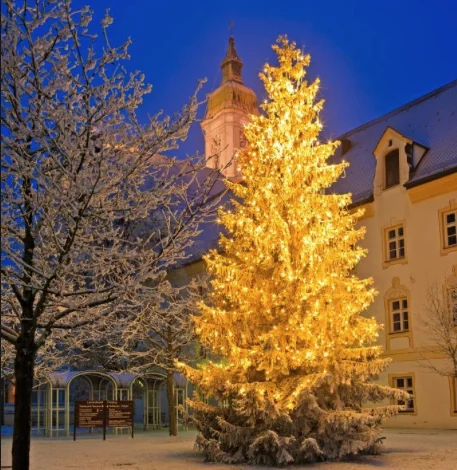 XMAS TREE 2.jpg
