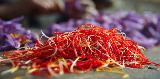 Saffron - precious commodity