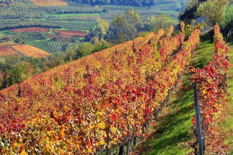 Italy in Autumn, a destination at its best