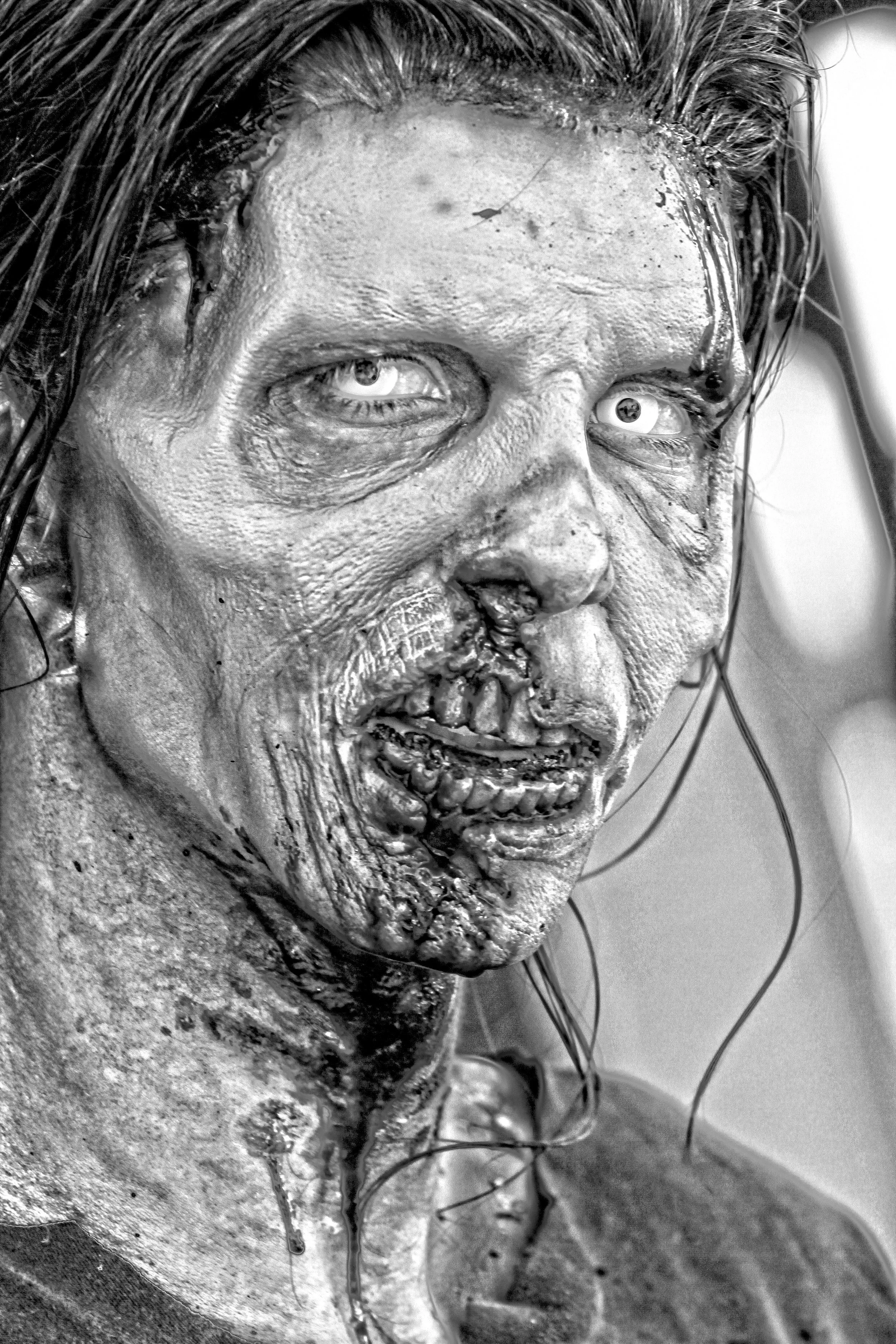 ZOMBIE1.jpg