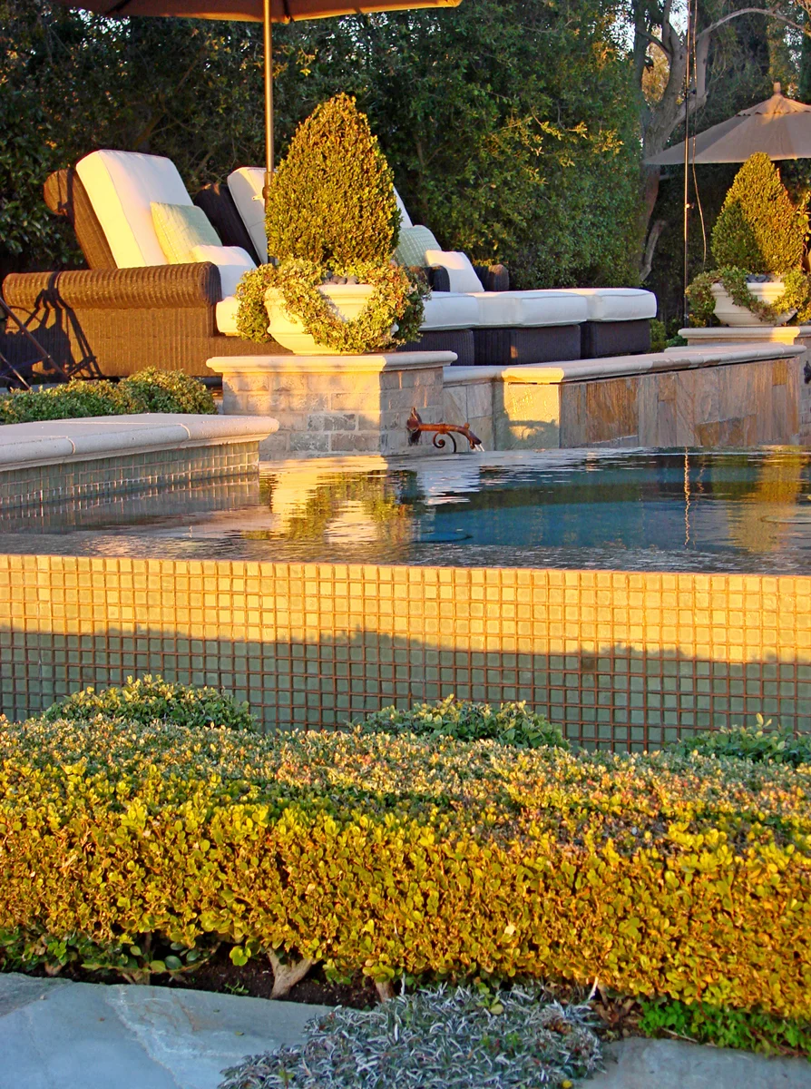 Sunset View.jpg