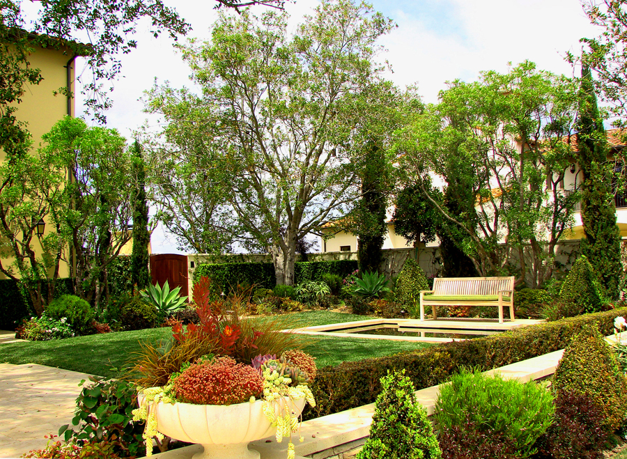 AMS - Khanna - Front Yard Trees.jpg