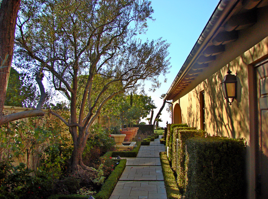 AMS - View along Sideyard.jpg