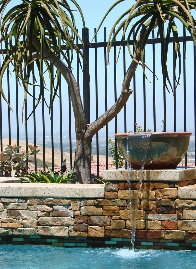 Aloe tree and spillway.jpg