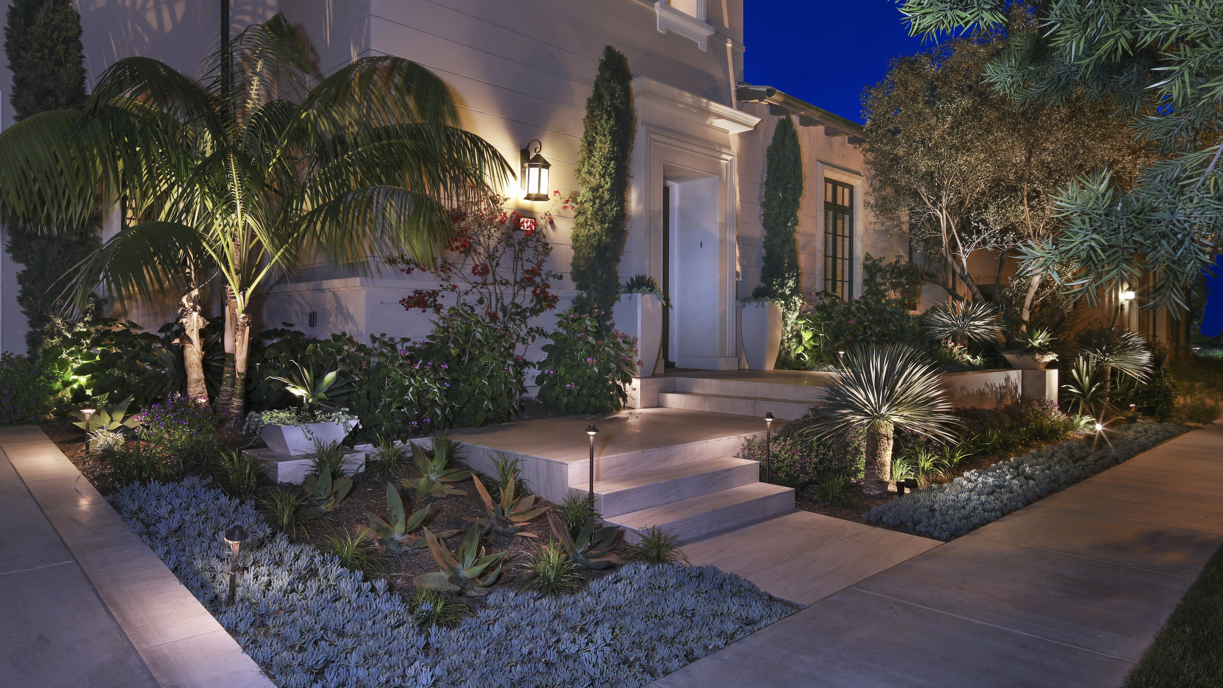 Front Planting Detail.jpg