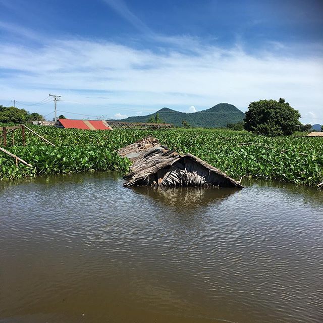 So much water about. These are the roofs of houses, now under water #connectwithcambodia