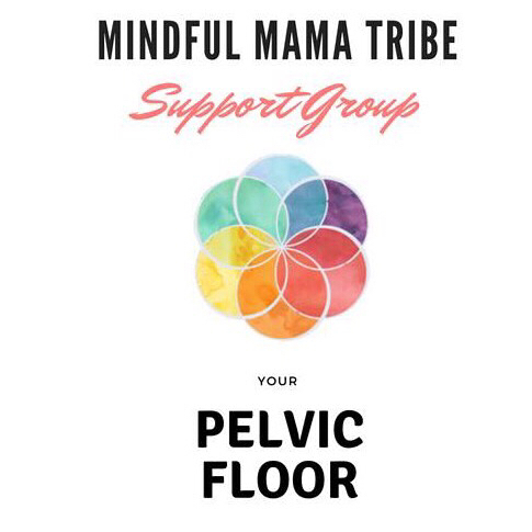 Join us this Wednesday for another pop up Mindful Mama Tribe Support Group. The fabulous Whitney Sippl will be leading us through a conversation on the mysteries of our pelvic floor after baby. Bring a friend! DM for address 💛