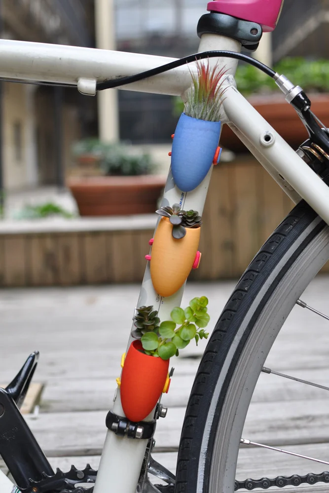 bike-red-4.jpg