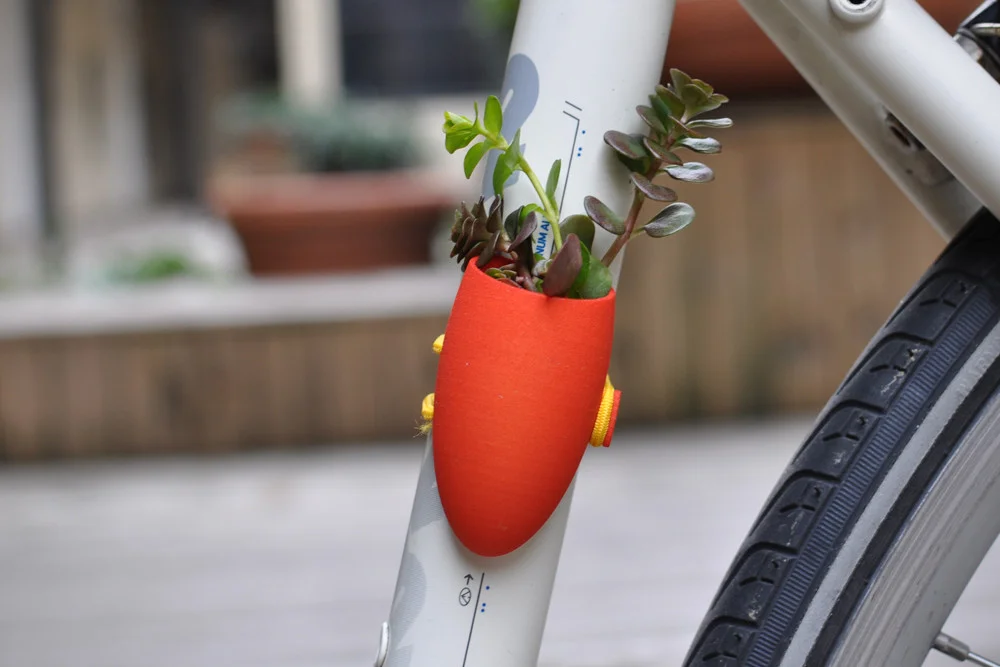bike-red-1.jpg