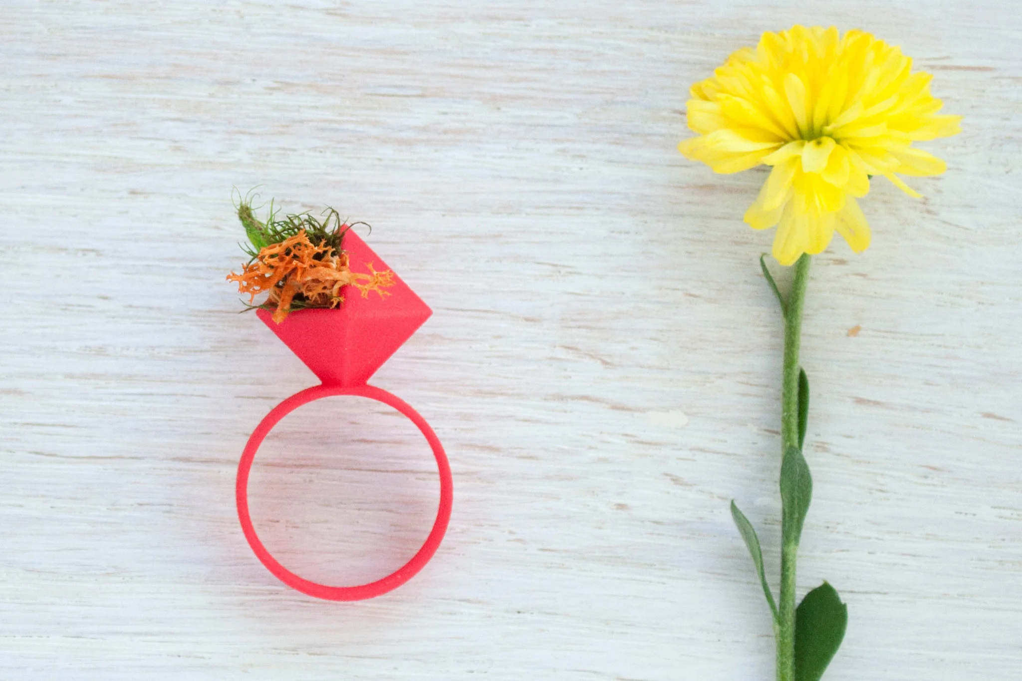 small-ring-50.jpg