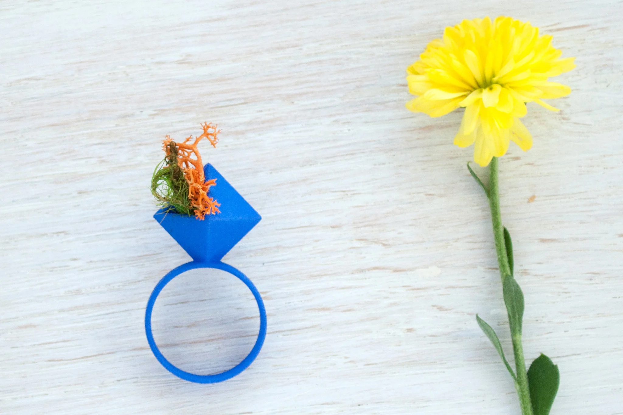 small-ring-52.jpg