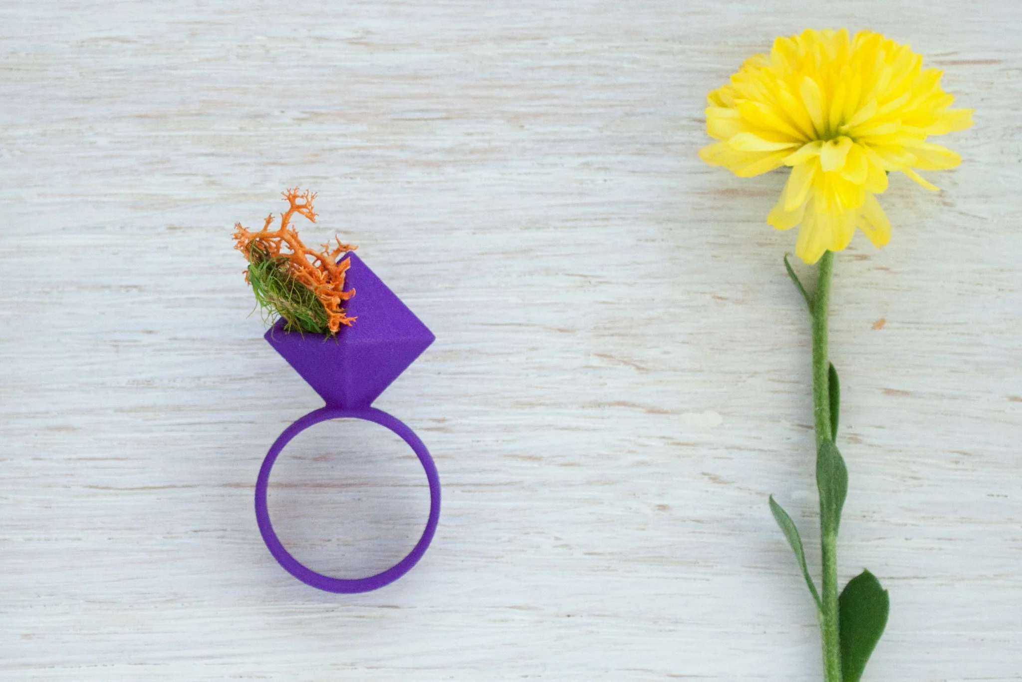 small-ring-53.jpg