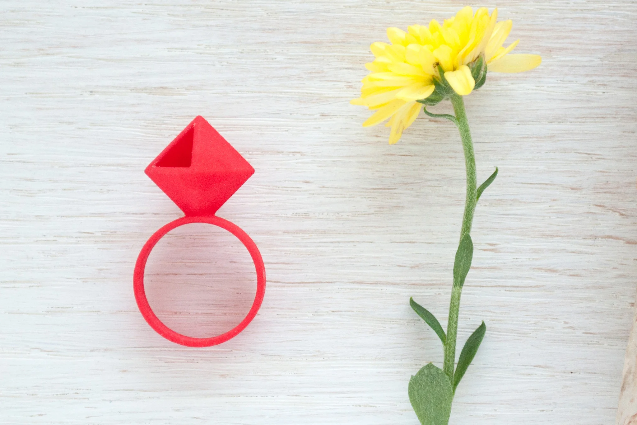 small-ring-13.jpg