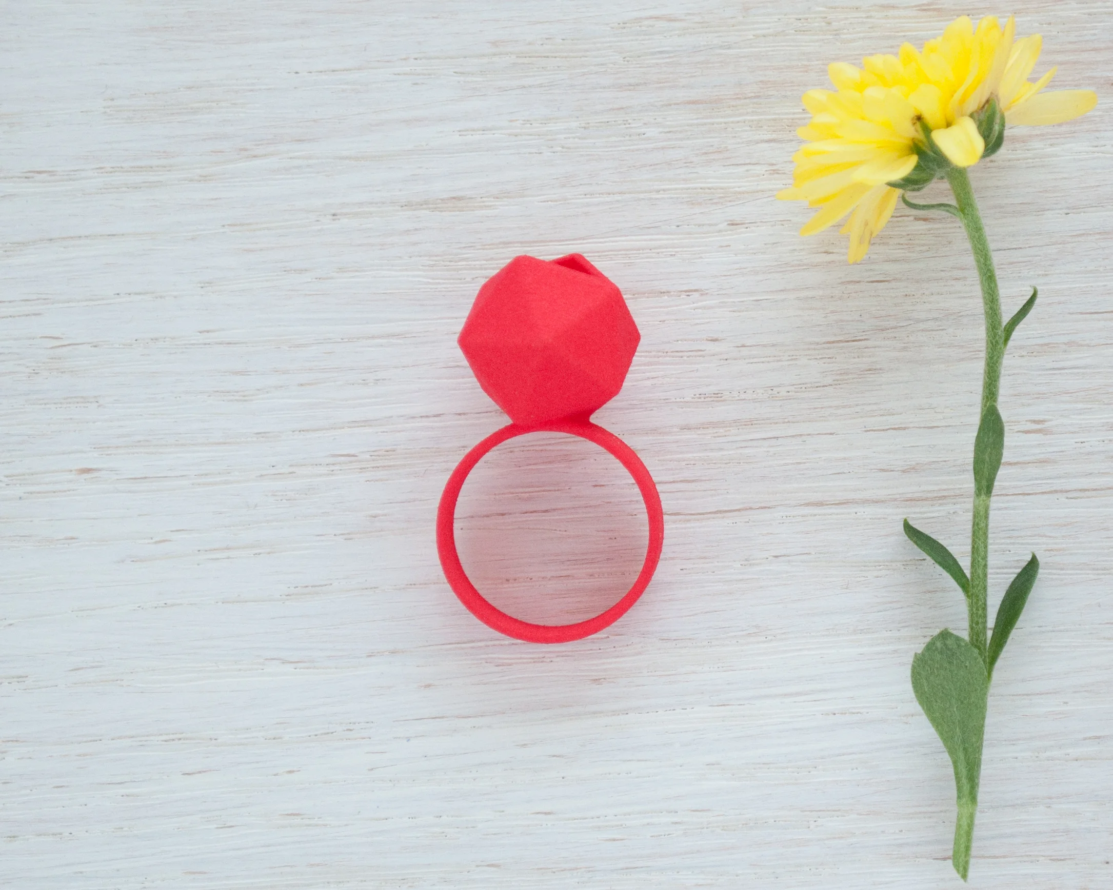 ring-9.jpg