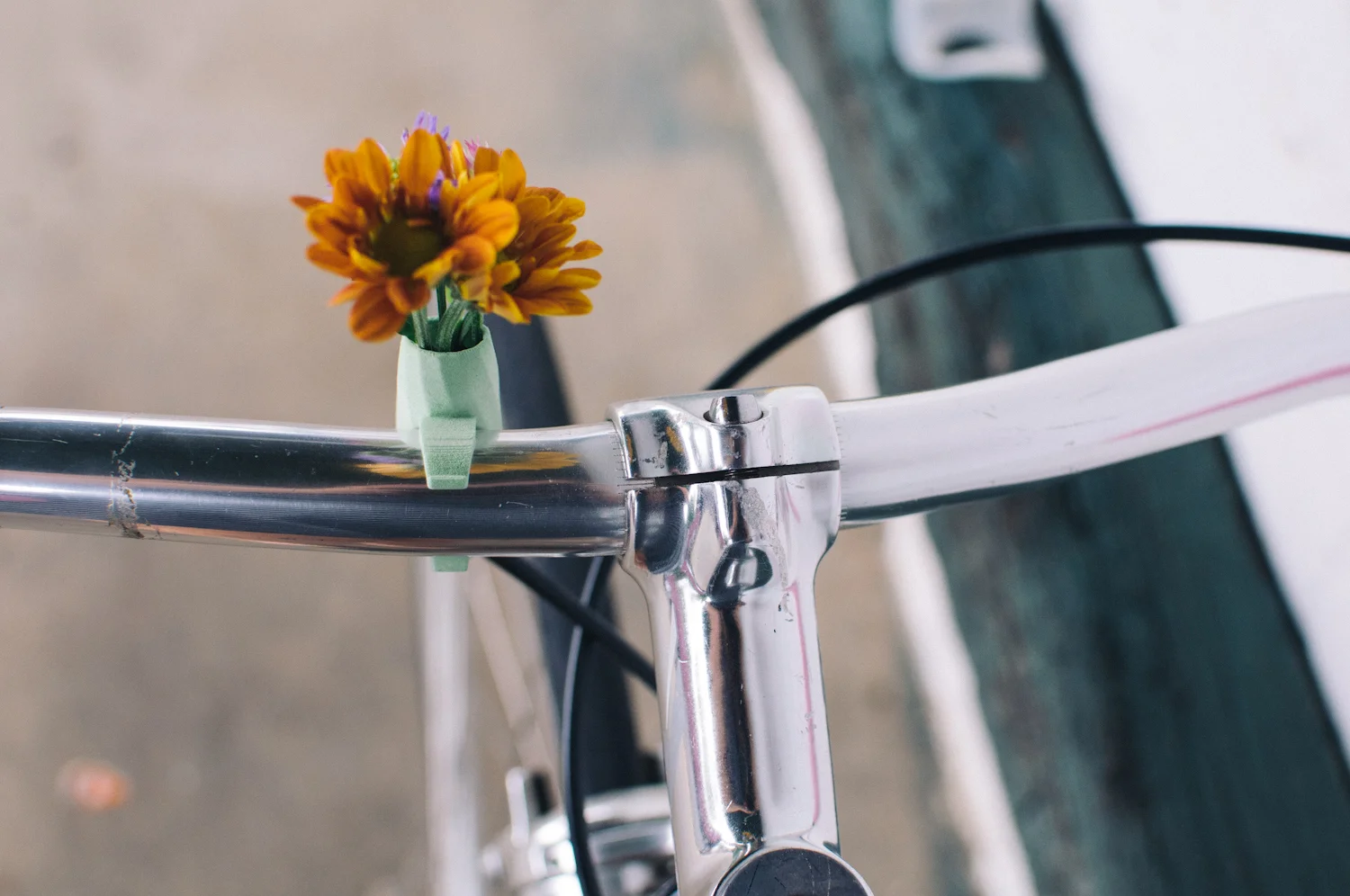 mintbike-5.jpg