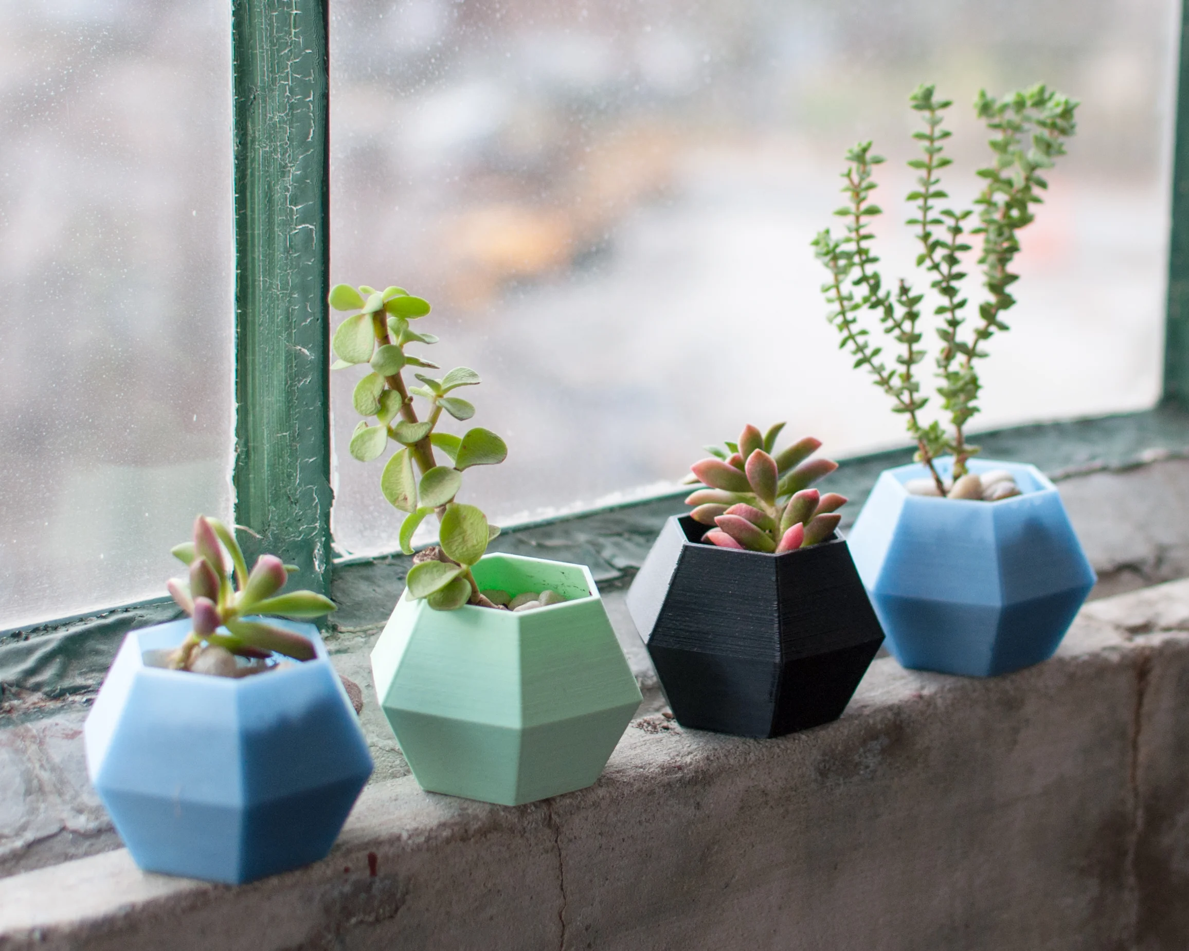 hexplanter-9.jpg