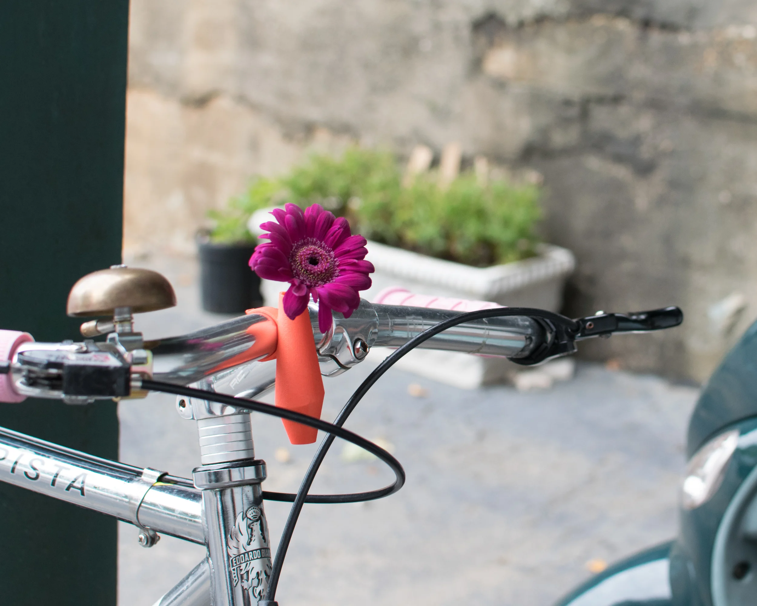topplebike-coral-4.jpg