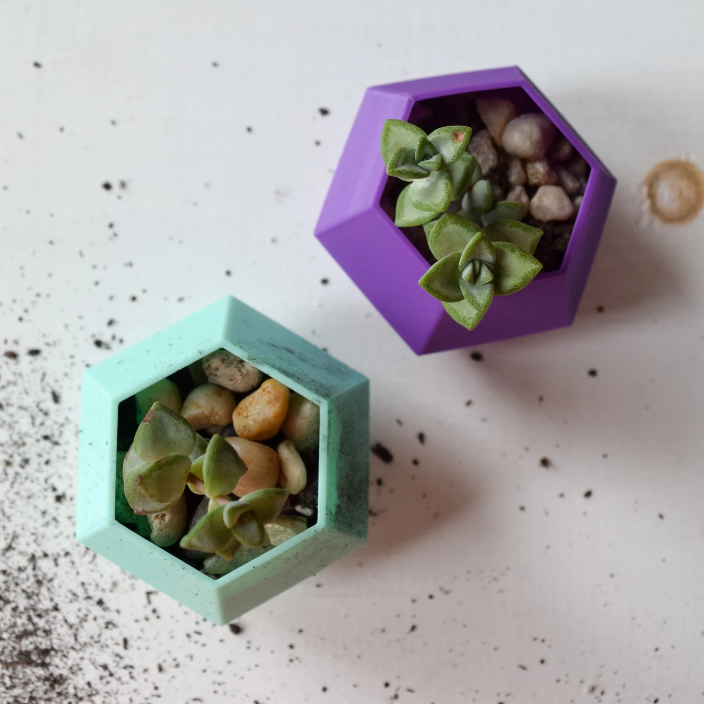 Aqua and Purple Planters