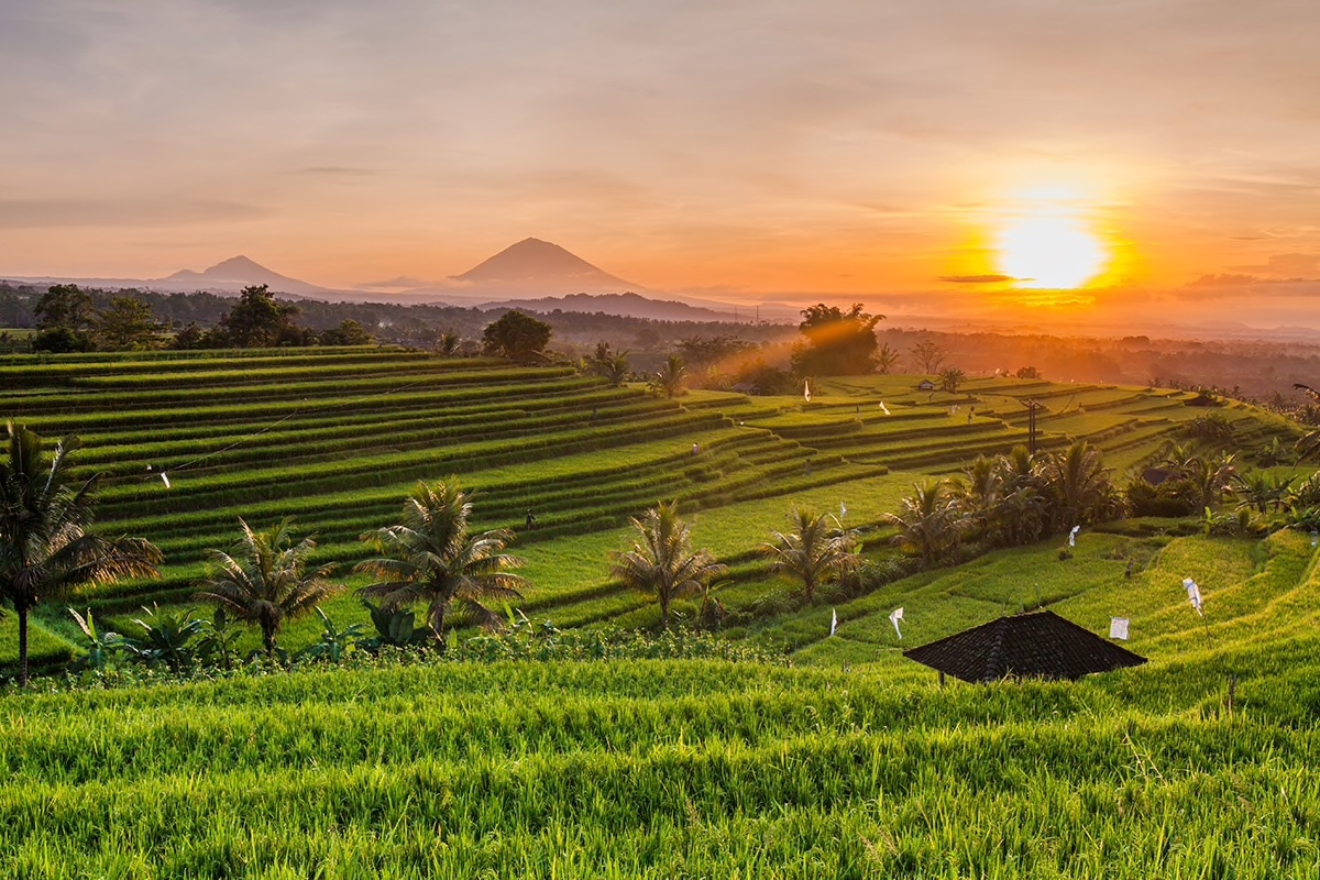 ubud sunrise