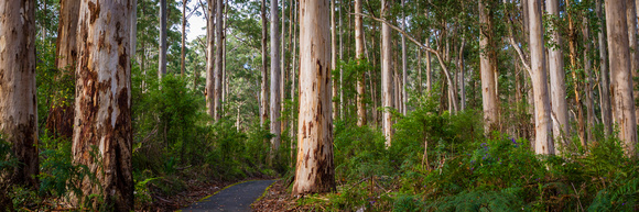 p2742084422-3.jpg