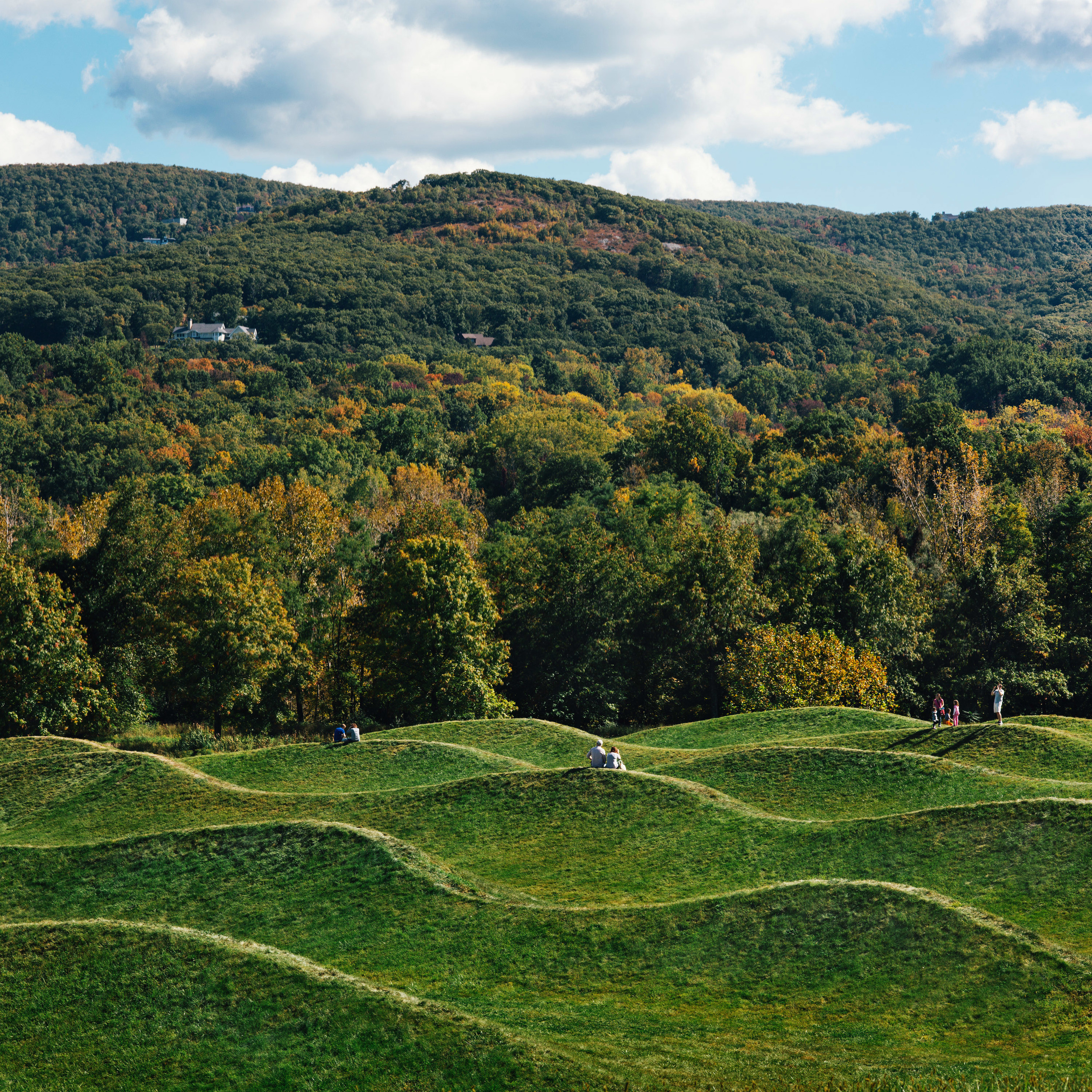 XN9A8375_maya_lin_storm_king_wavefield.jpg