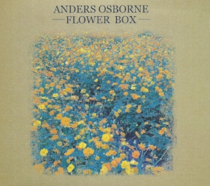 AO - Flower Box .jpg