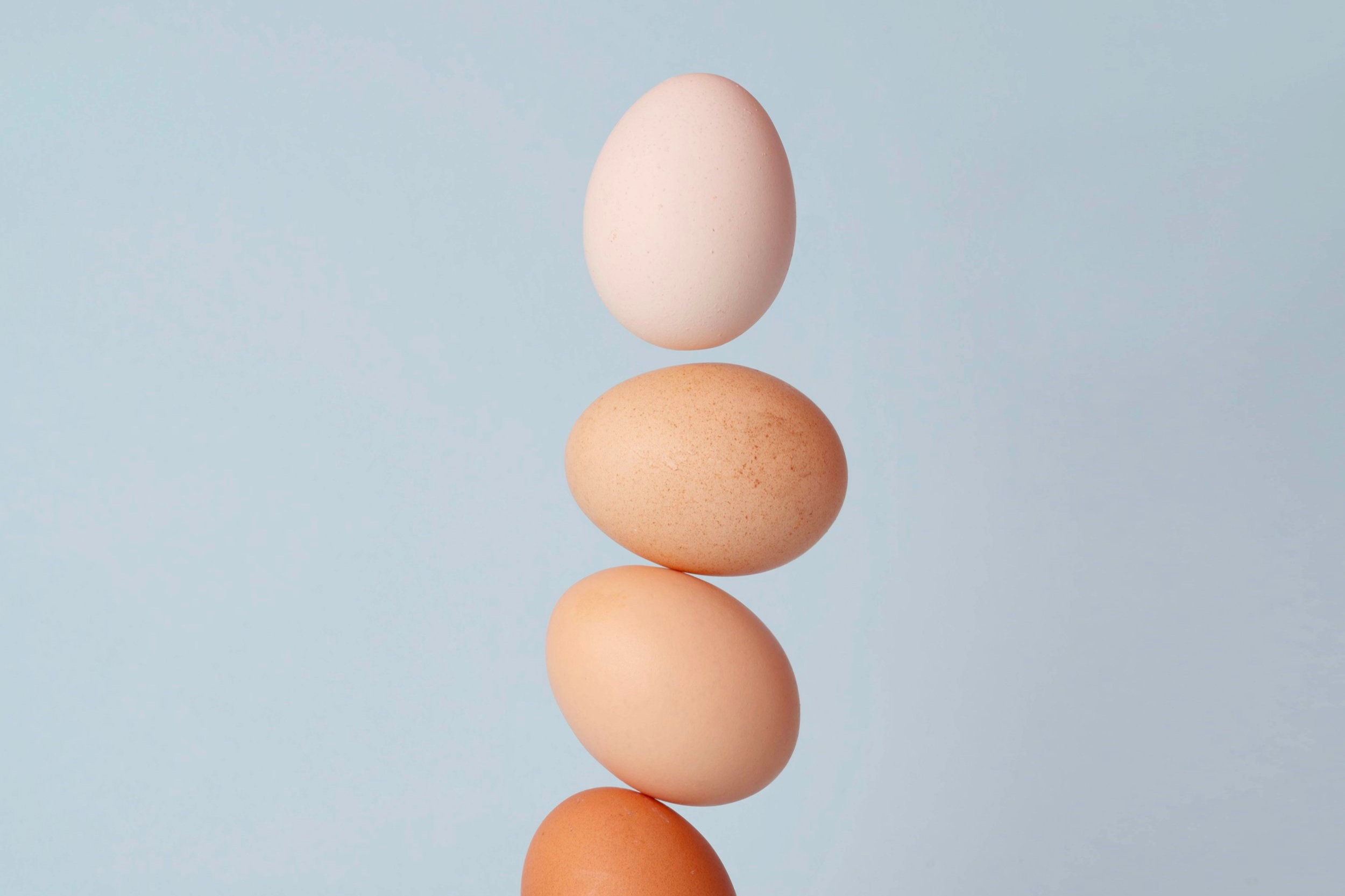 Find-Your-Balance-Red-Stamp.jpg