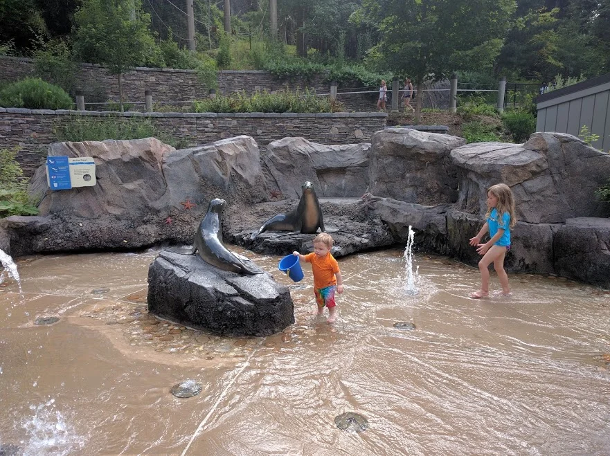 water playing (at the National Zoo)