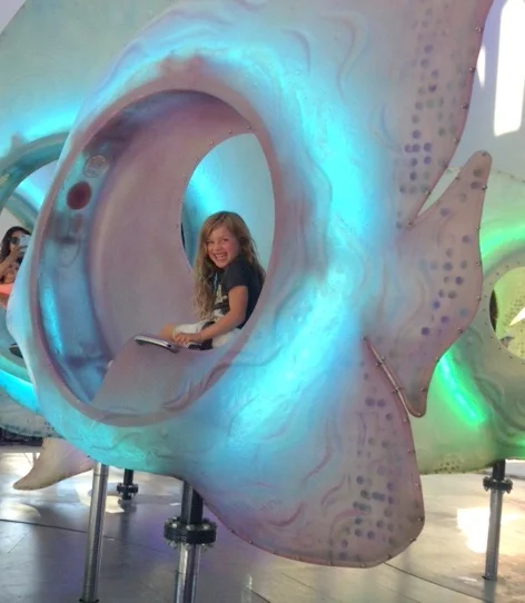 Seaglass Carousel in Battery Park