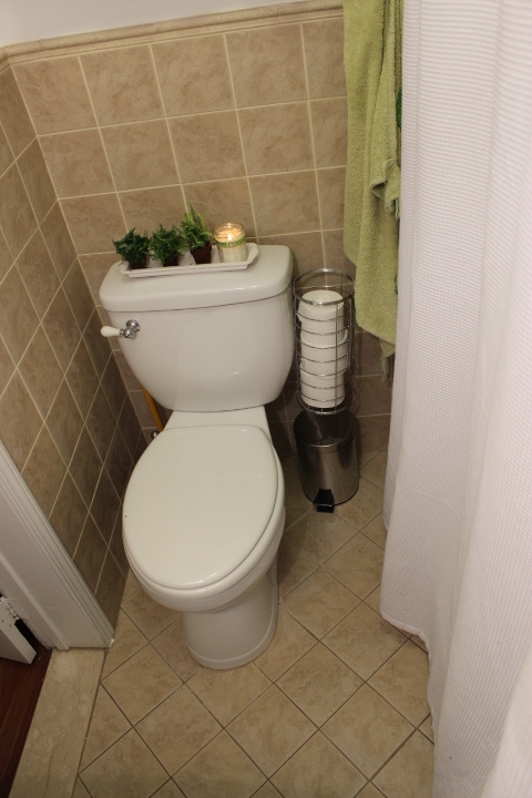 DIY Over-the-Door Toilet Paper Holder — Once & Future Home