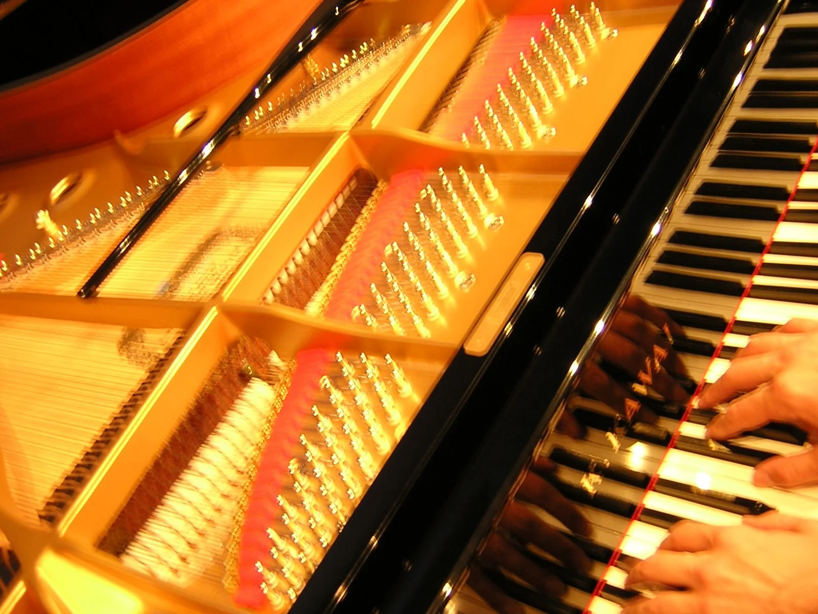 Book Launch: A concise history of music in Europe (35000 BCE - 1975 AD) by Lorna Menzies-Wall