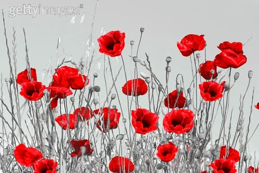 Riverina Concert Band - Anzac Day Service Street March - Wagga Wagga
