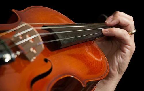 Term 1 Week 10 - Friday Night Student Recital