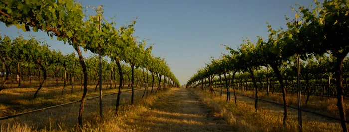 RCM Concert Series No.#12: Meredith & the Conmen Big Band