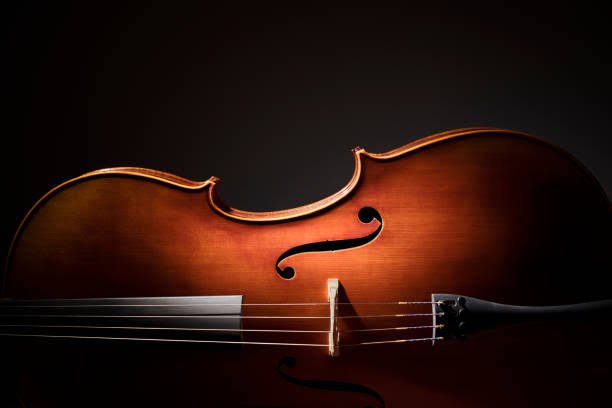 An Evening of Classical Music in Support of Relay for Life