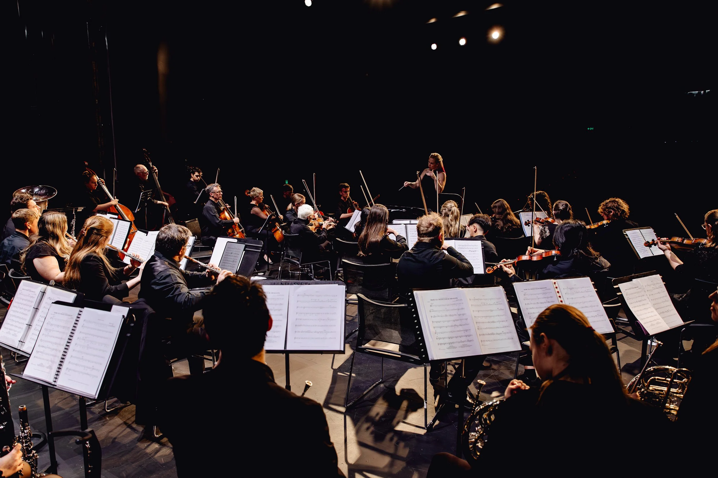 An Evening with the Riverina Conservatorium Orchestra