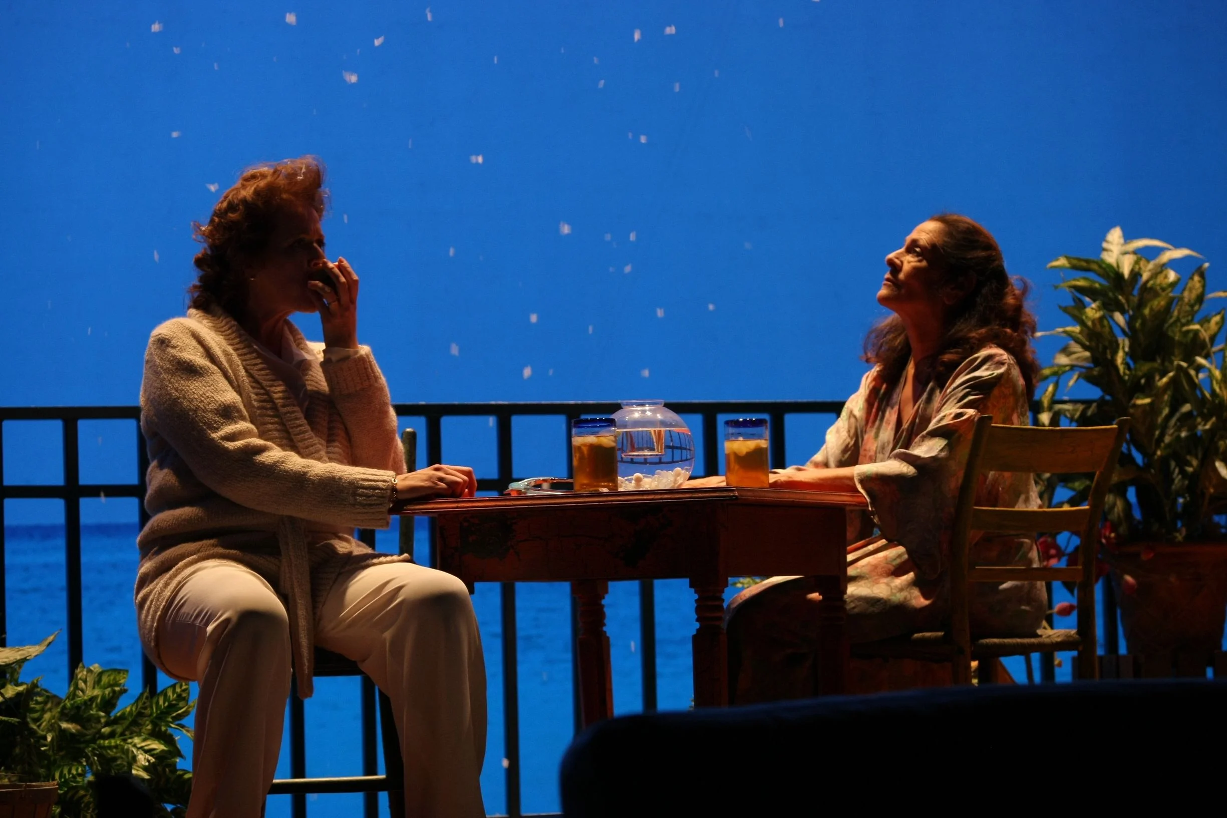 The Clean House at Geva Theatre