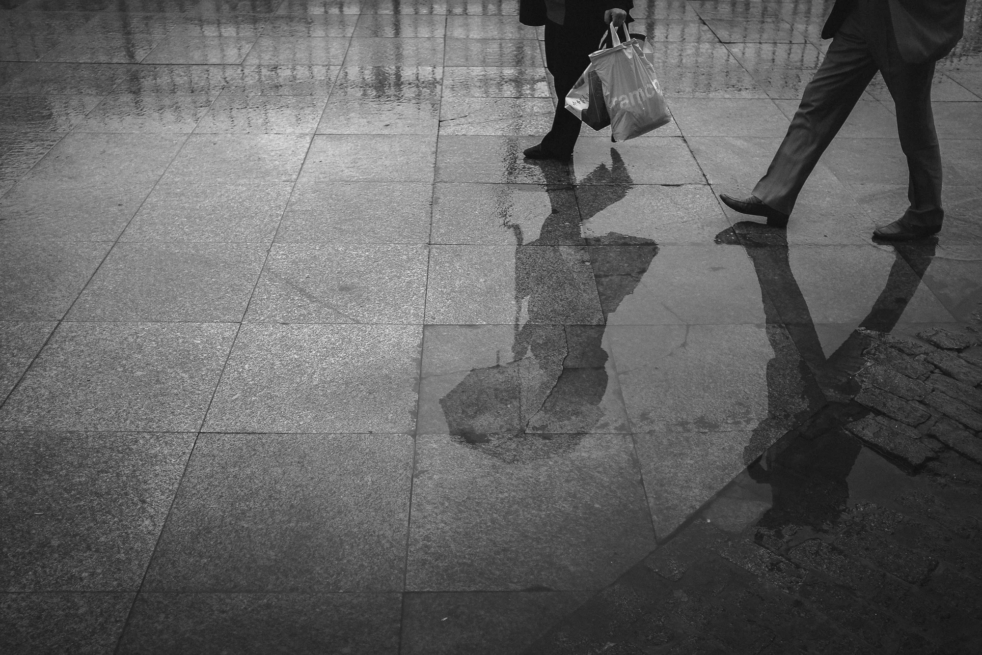 A Puddled Couple