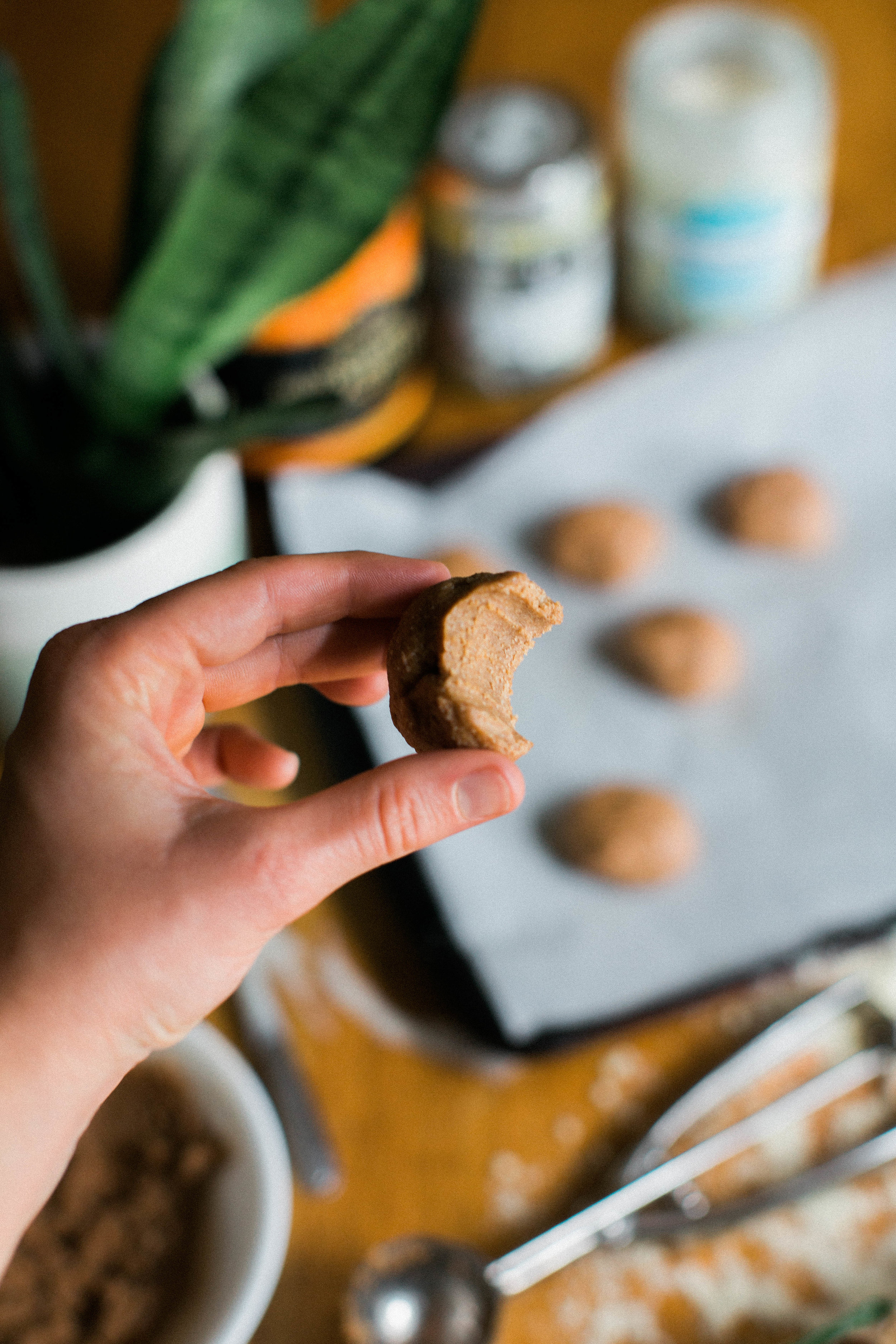 jennahazelphotography-snickerdoodle-bliss-bites-1133.jpg