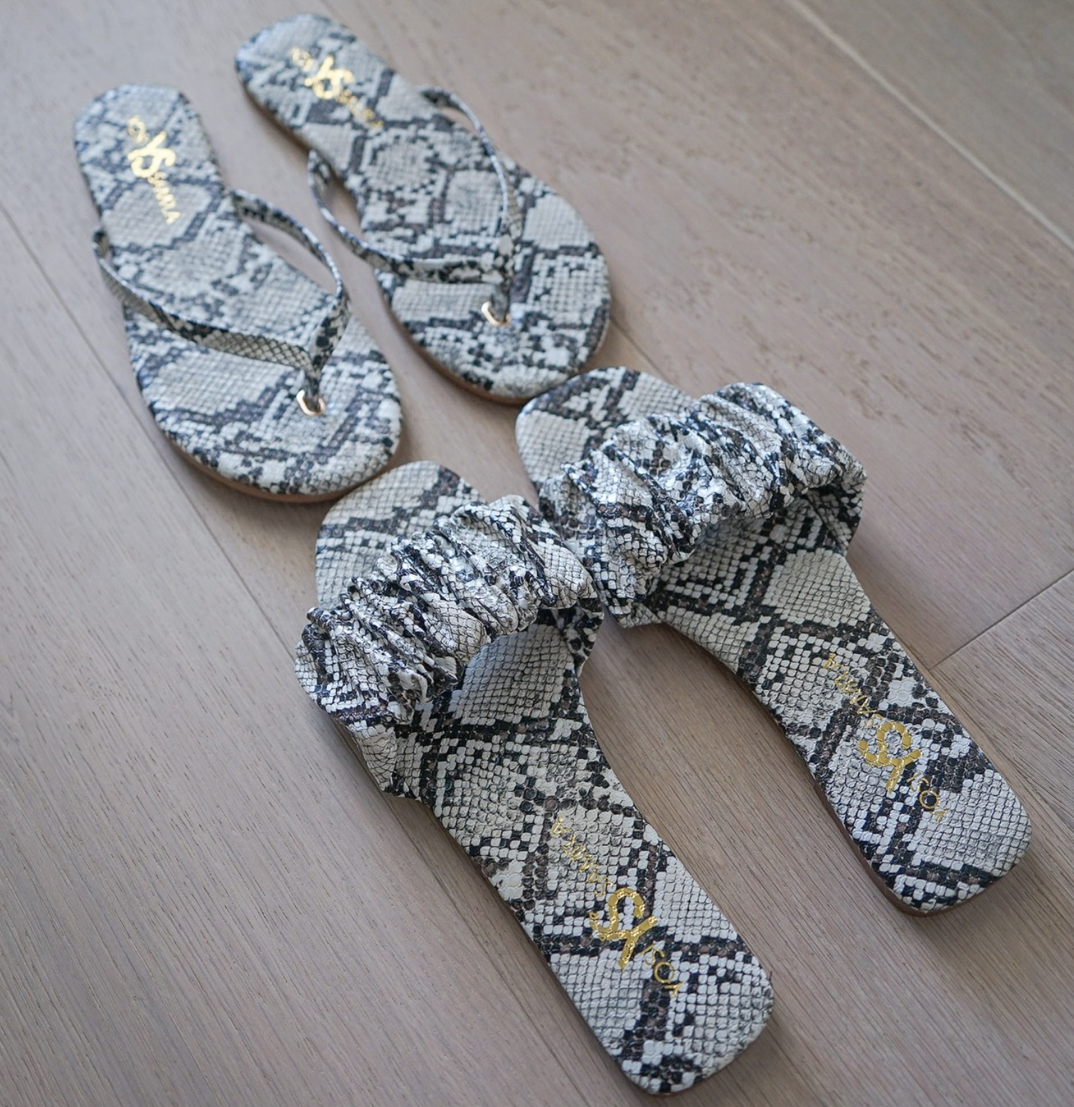 Screenshot 2026-03-01 at 10.19.24 PM.png