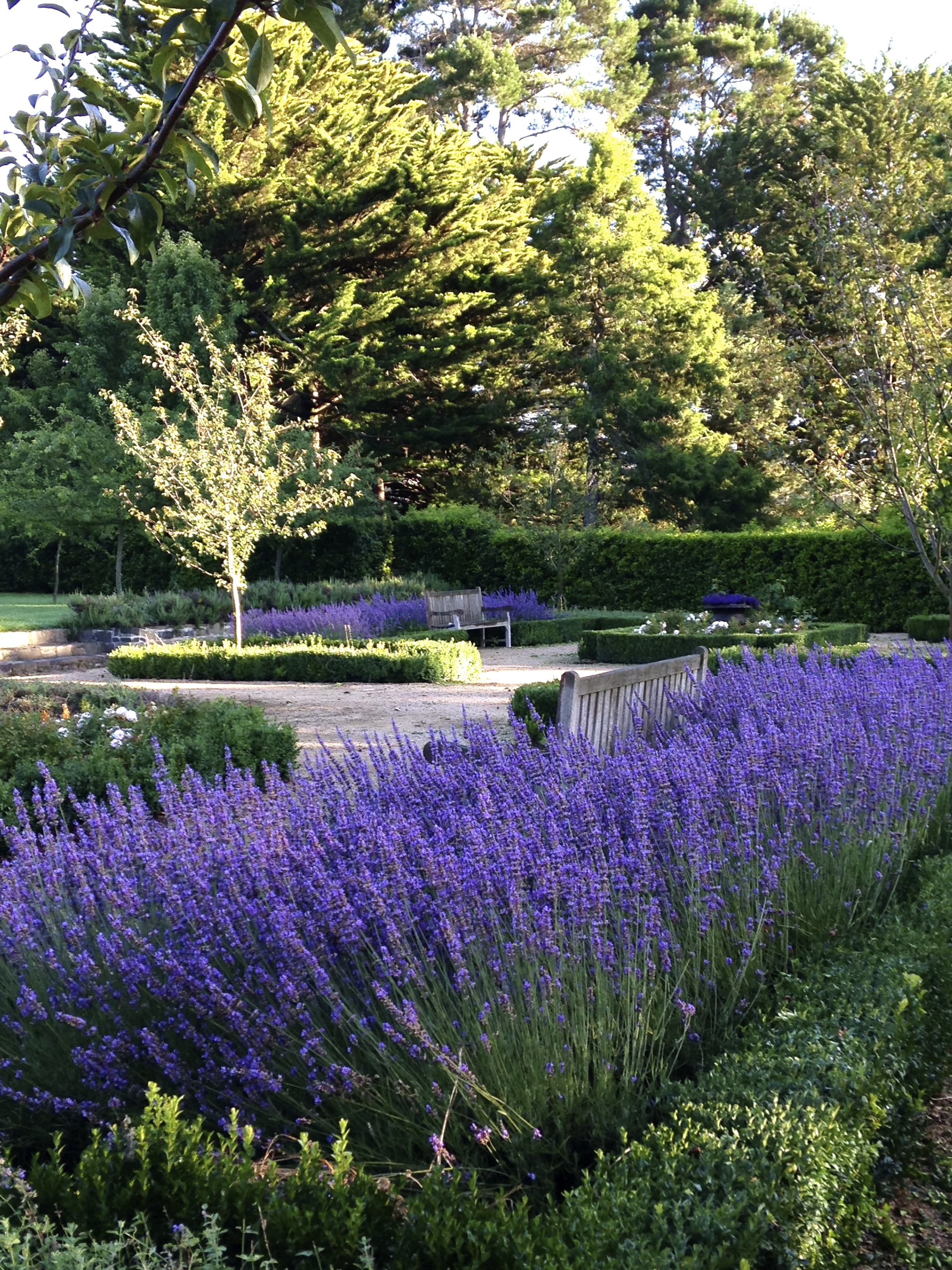 Parterre.jpg