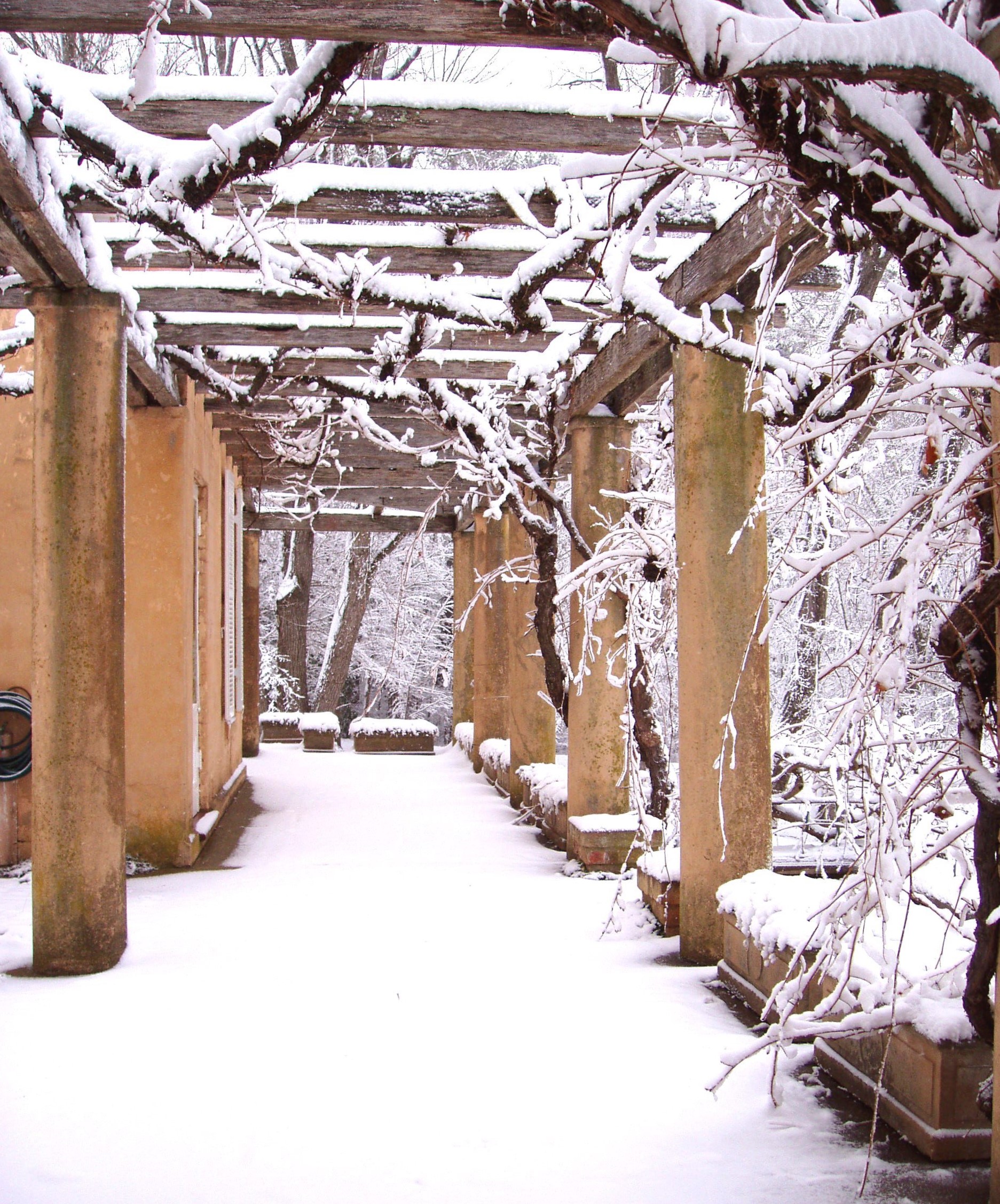 house in snow04 045.jpg
